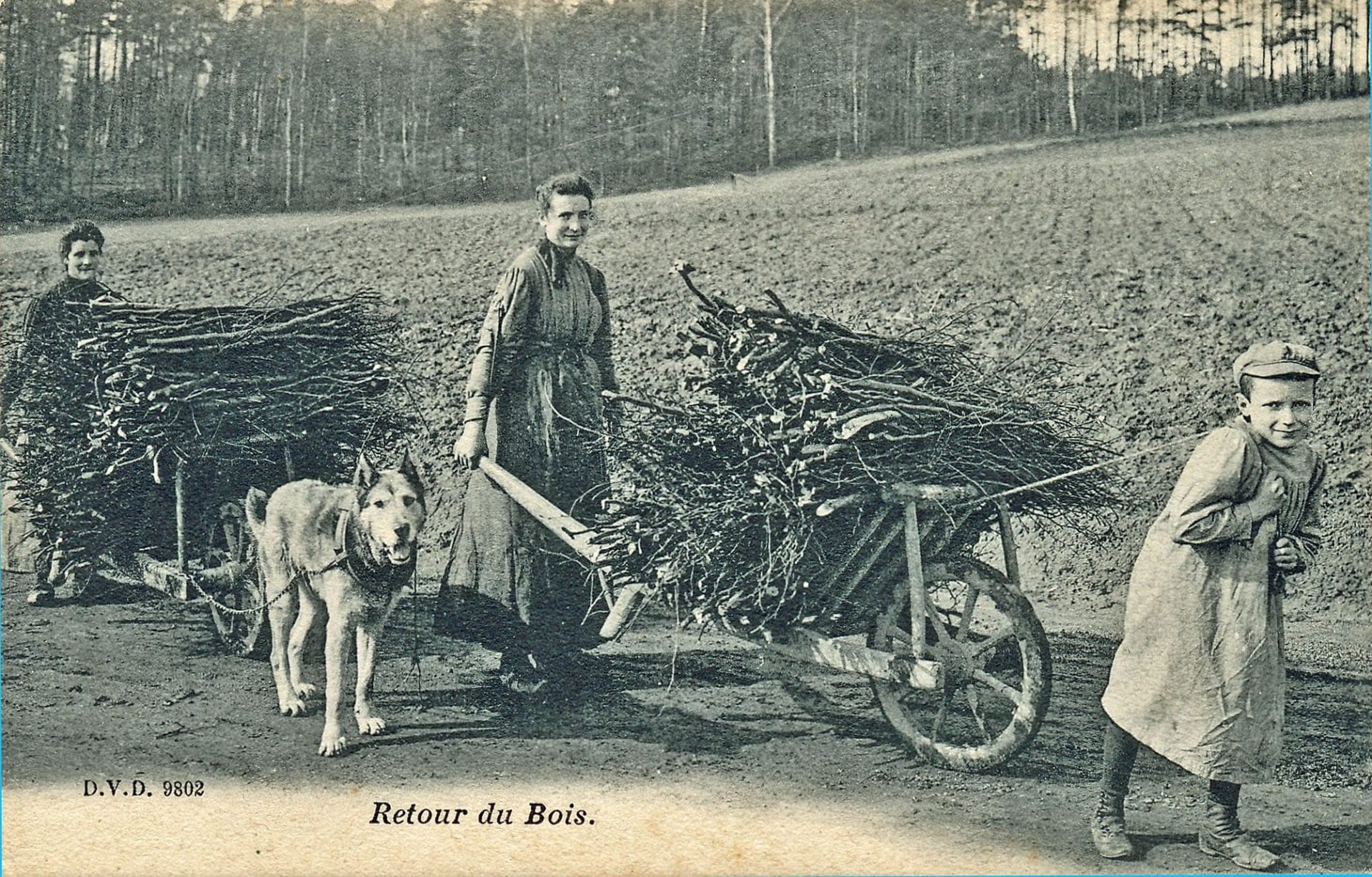 Retour de la forêt après la récolte de petit bois pour le chauffage ou la fabrication de balais - CP Ed. DVD Dero, vers 1905-1910