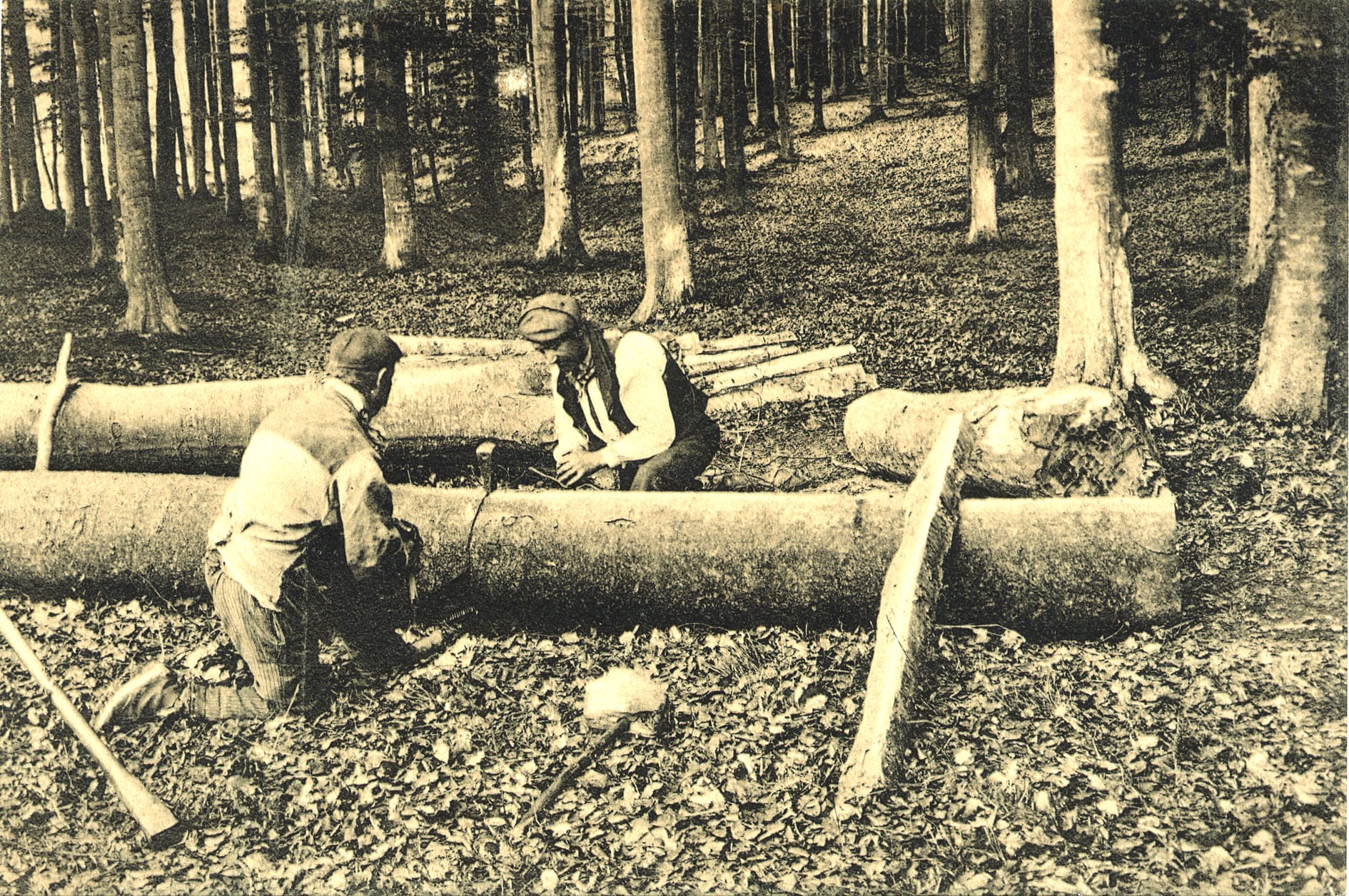 Scieurs dans la forêt - CP, vers 1910