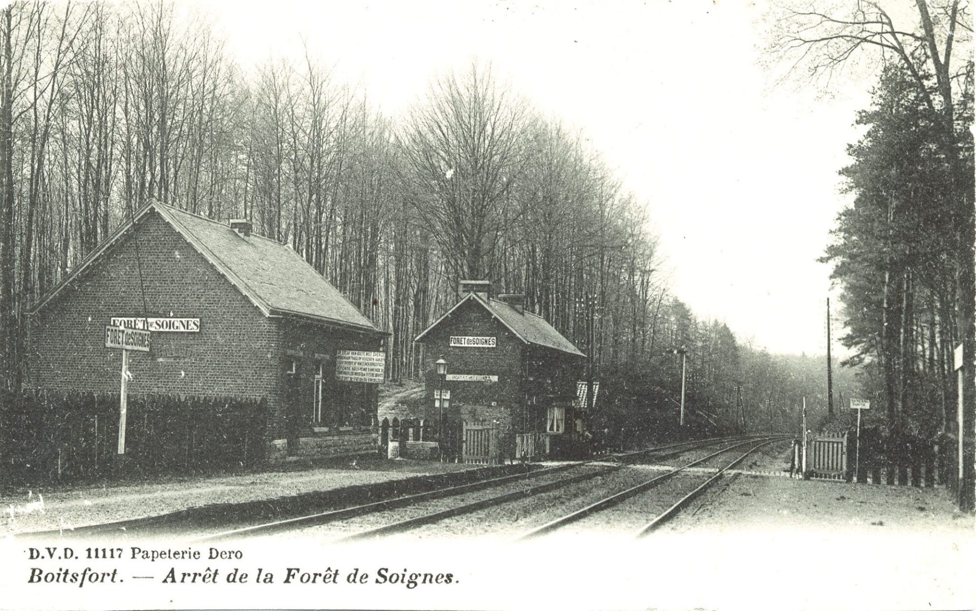 La halte de la forêt de Soignes - Carte postale Dero, vers 1905.